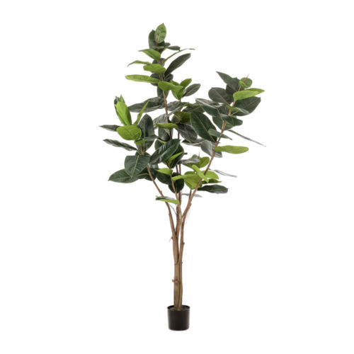 LYRATA Plante artificielle décorative finition Premium.79 feuilles artificielles, tronc naturel. Pot basique inclus.Hauteur: 180 cm