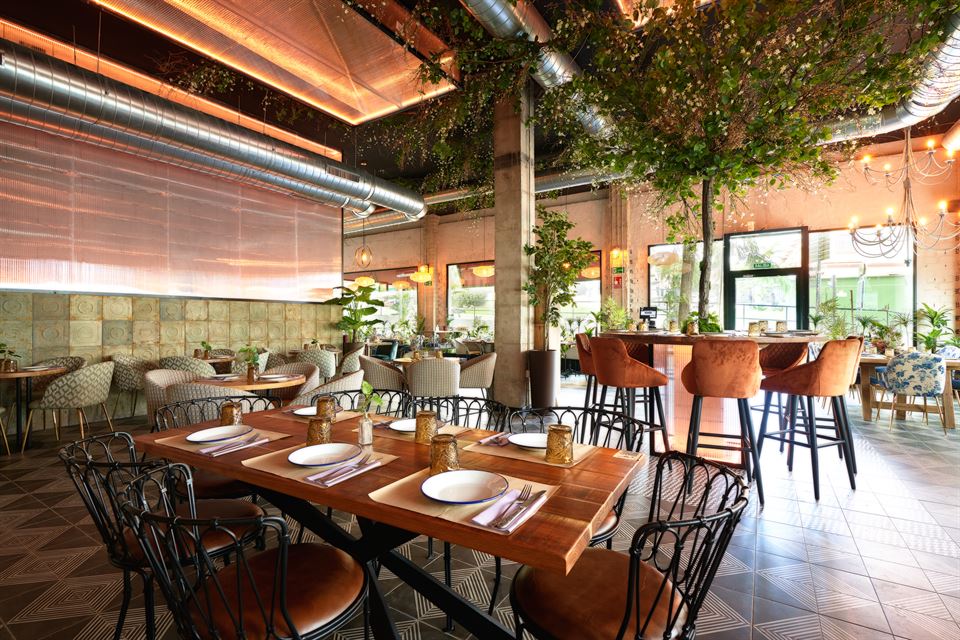 Proyecto Burro Canaglia sala principal 2