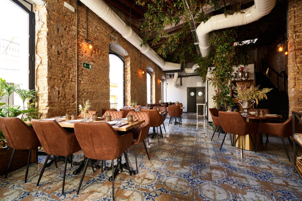 Burro Canaglia se expande por tierras onubenses 2