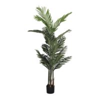PLANTE ARTIFICIELLE DÉCORATIVE ARBRE ARECA | Trouvez-la chez MisterWils. Plus de 4000m² d'exposition.