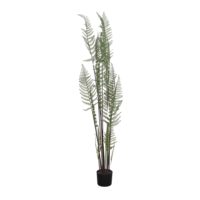 PLANTE ARTIFICIELLE DÉCORATIVE ARBRE HELECHO | Trouvez-la chez MisterWils. Plus de 4000m² d'exposition. 1
