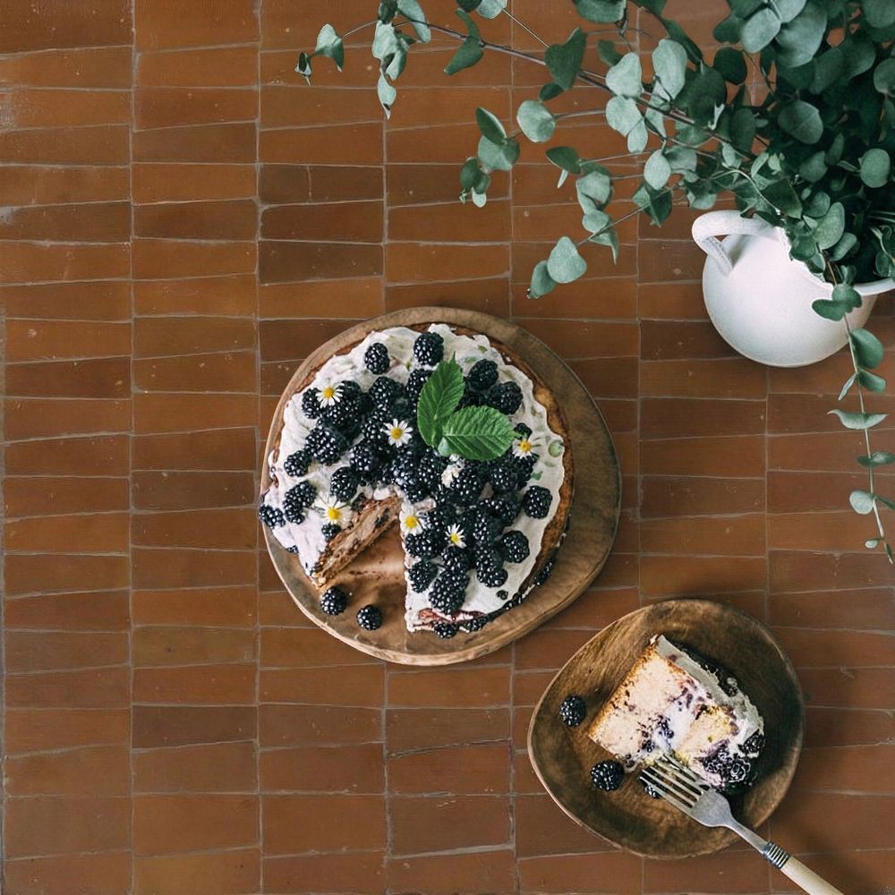 TAPA CAMBITA Foto ambiente abril 2026